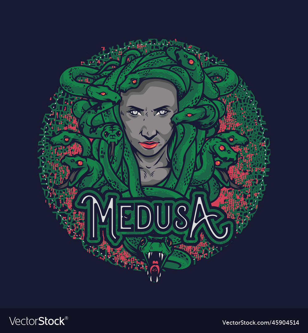 Wonderful medusas head hand drawn medusa Vector Image