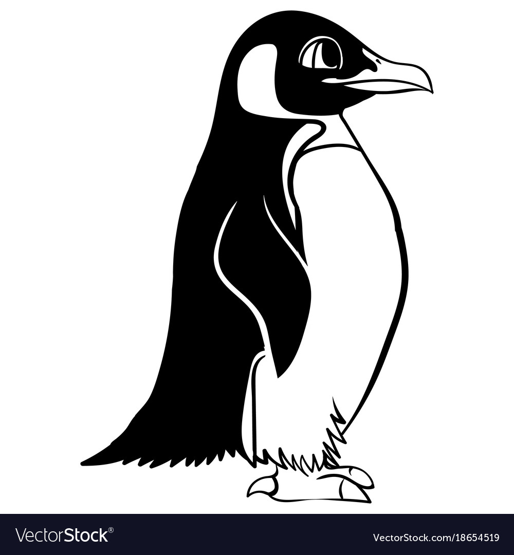 Cartoon linear paint draw penguin Royalty Free Vector Image