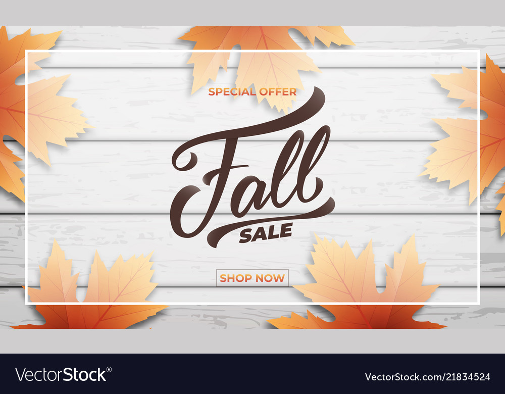 Fall sale background layout design lettering Vector Image