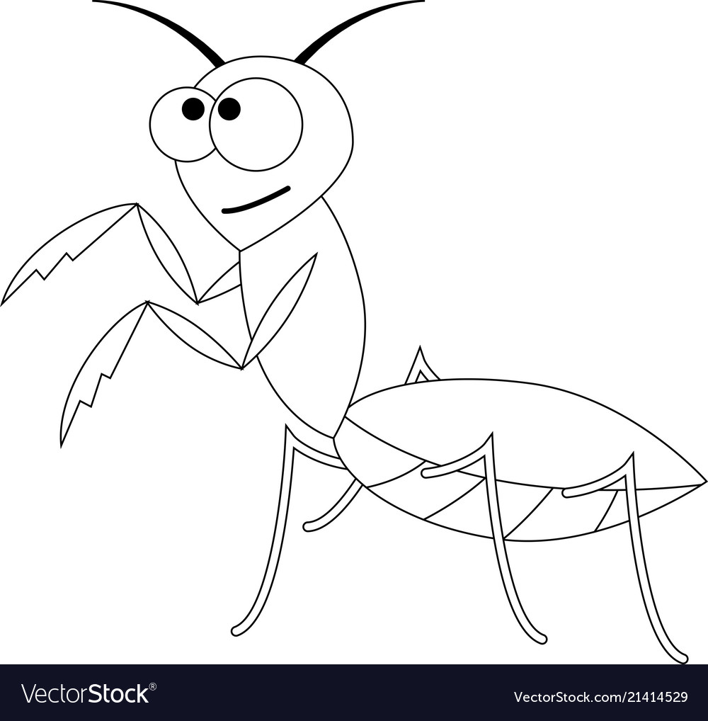 Богомол раскраска для детей распечатать Colorless funny cartoon mantis Royalty Free Vector Image