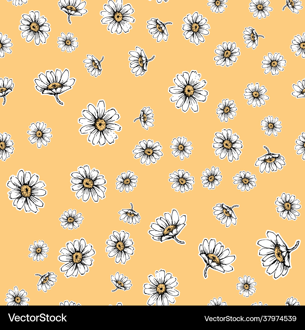 Cute seamless pattern with white chamomiles Vector Image
