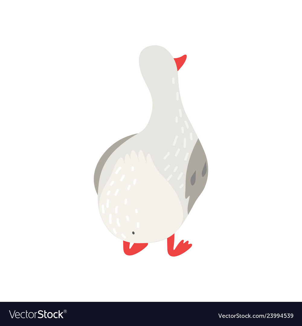 Cute white goose cartoon character back view Vector Image Cute white goose cartoon character back view Vector Image