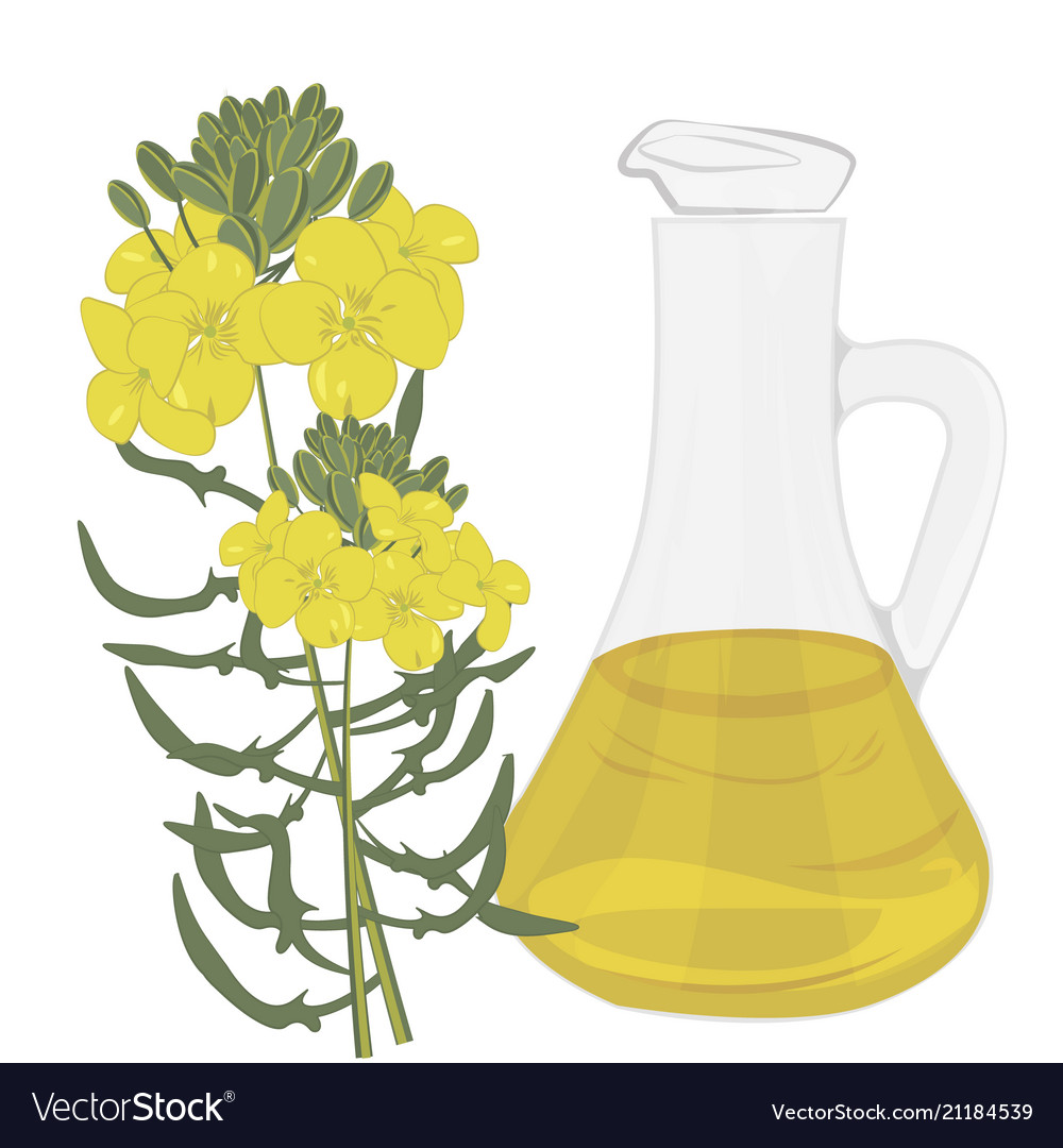 Organic mustard oil isolated