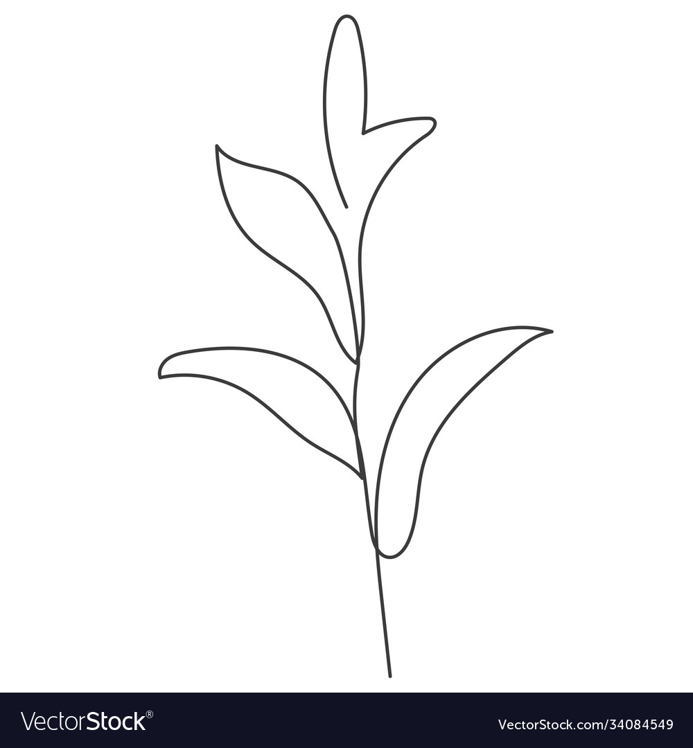 A plant drawn in one continuous line Royalty Free Vector