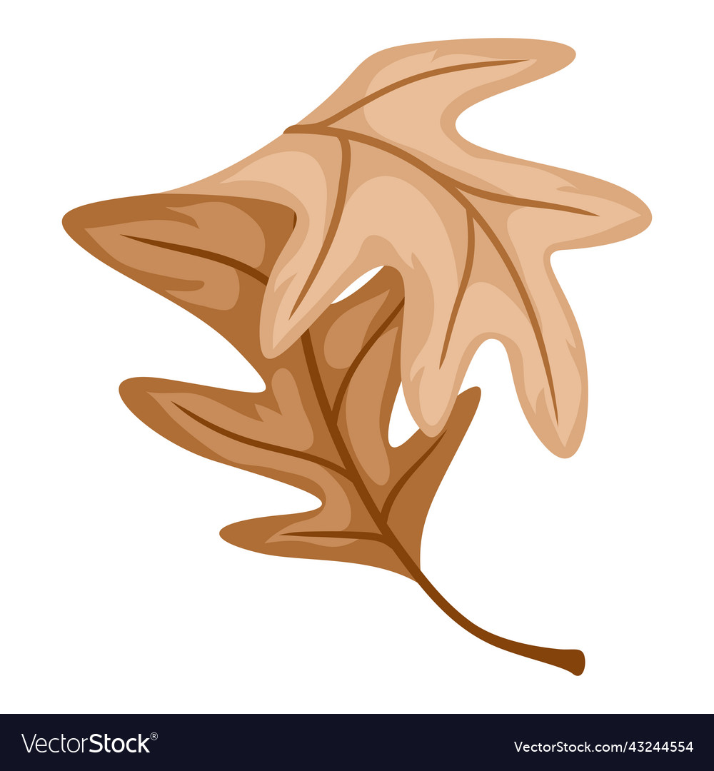 Autumn oak leaf stylized seasonal Royalty Free Vector Image