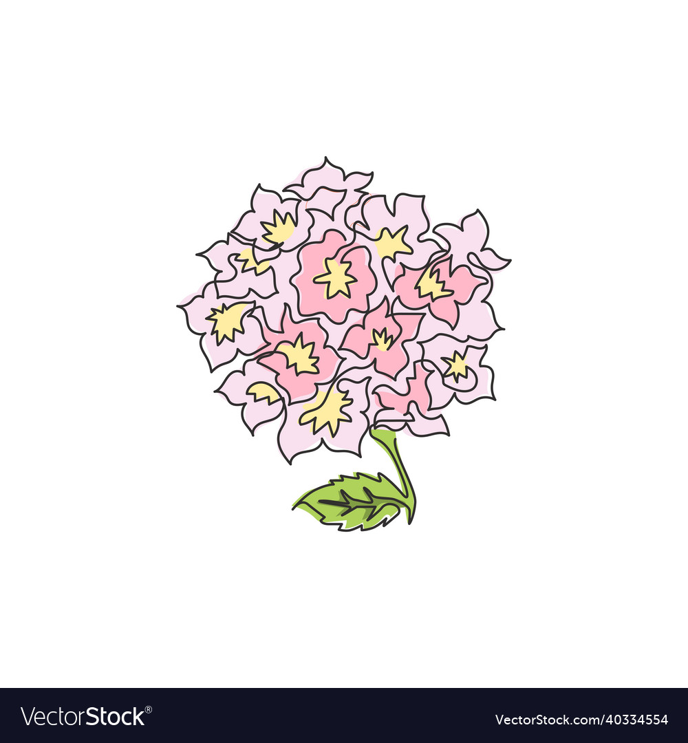 Single one line drawing beauty fresh lantana Vector Image