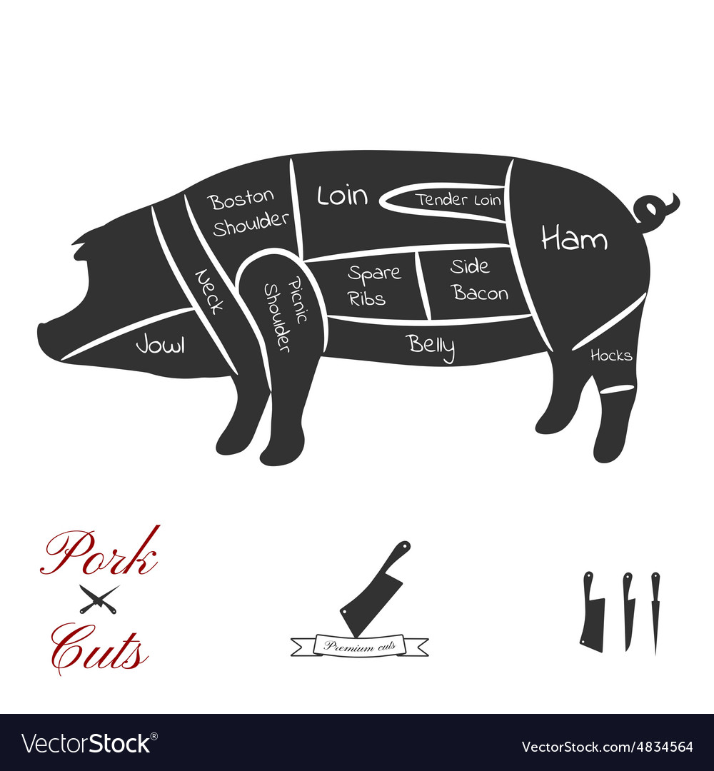 Pork Cuts2 Royalty Free Vector Image - Vectorstock