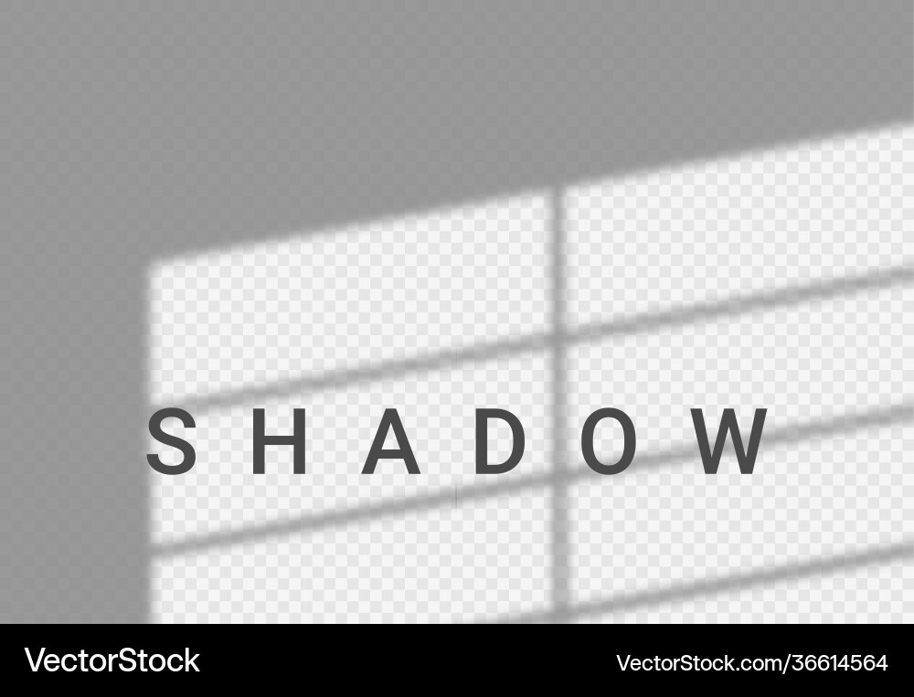 Shadow light overlay window wall scene mockup Vector Image