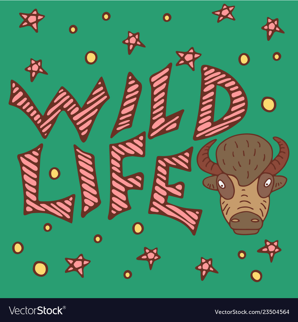 Wild life buffalo poster