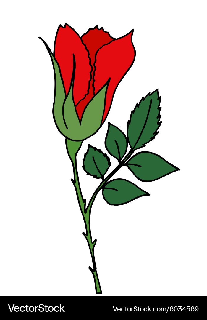 Flower spring Royalty Free Vector Image - VectorStock