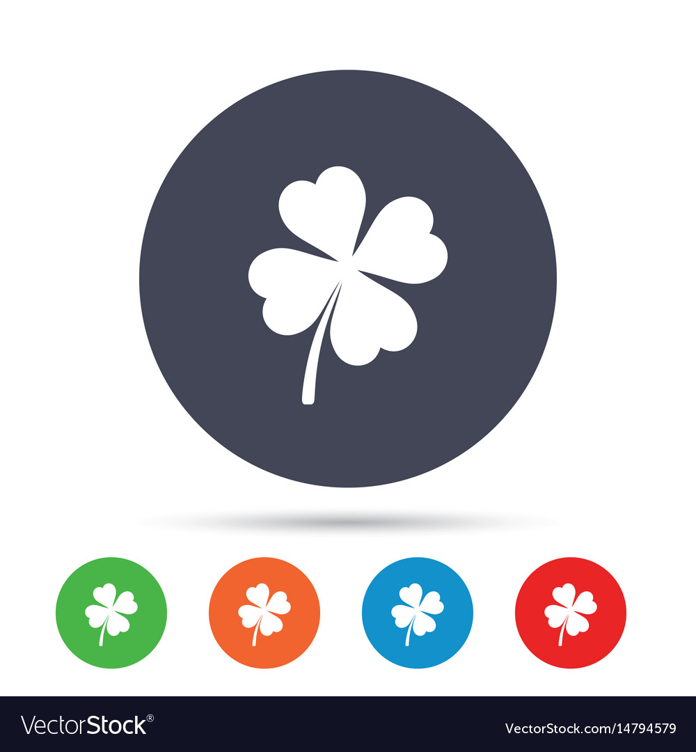 Clover with four leaves sign st patrick symbol Vector Image