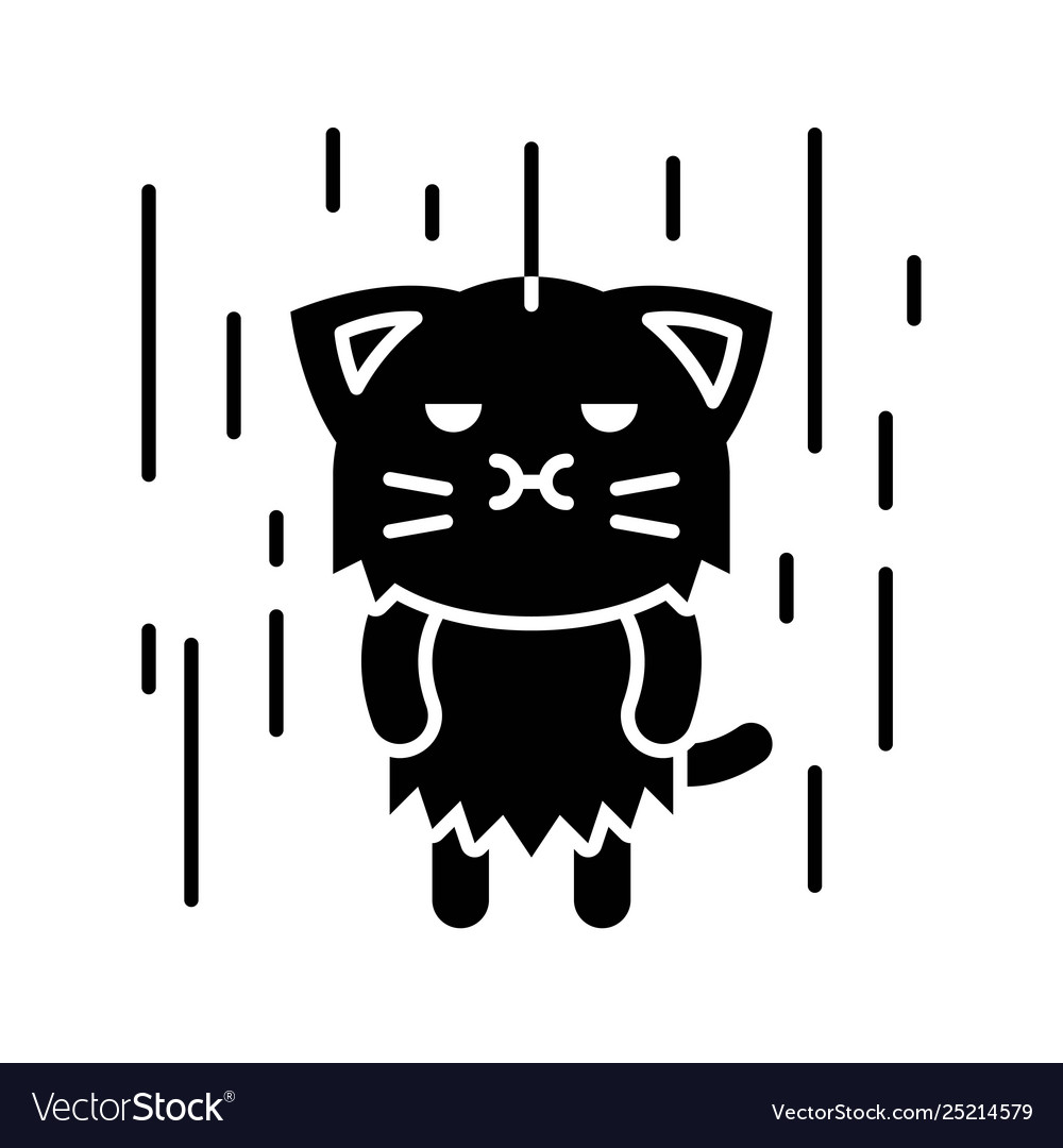 Cute cat avatar solid icon Royalty Free Vector Image