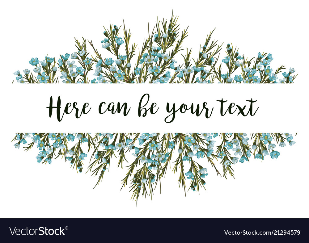 Horizontal Botanical Design Banner Or Wedding Vector Image