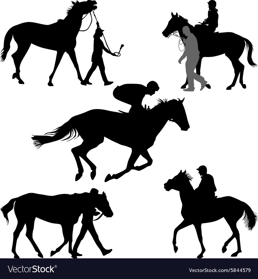 Jockey and horse