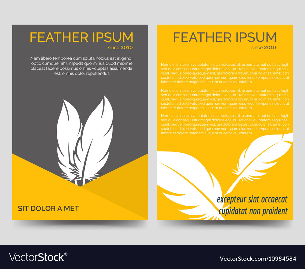 brochure flyers template with feathers royalty free vector