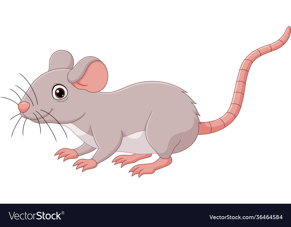 Cartoon cute mouse on white background Royalty Free Vector