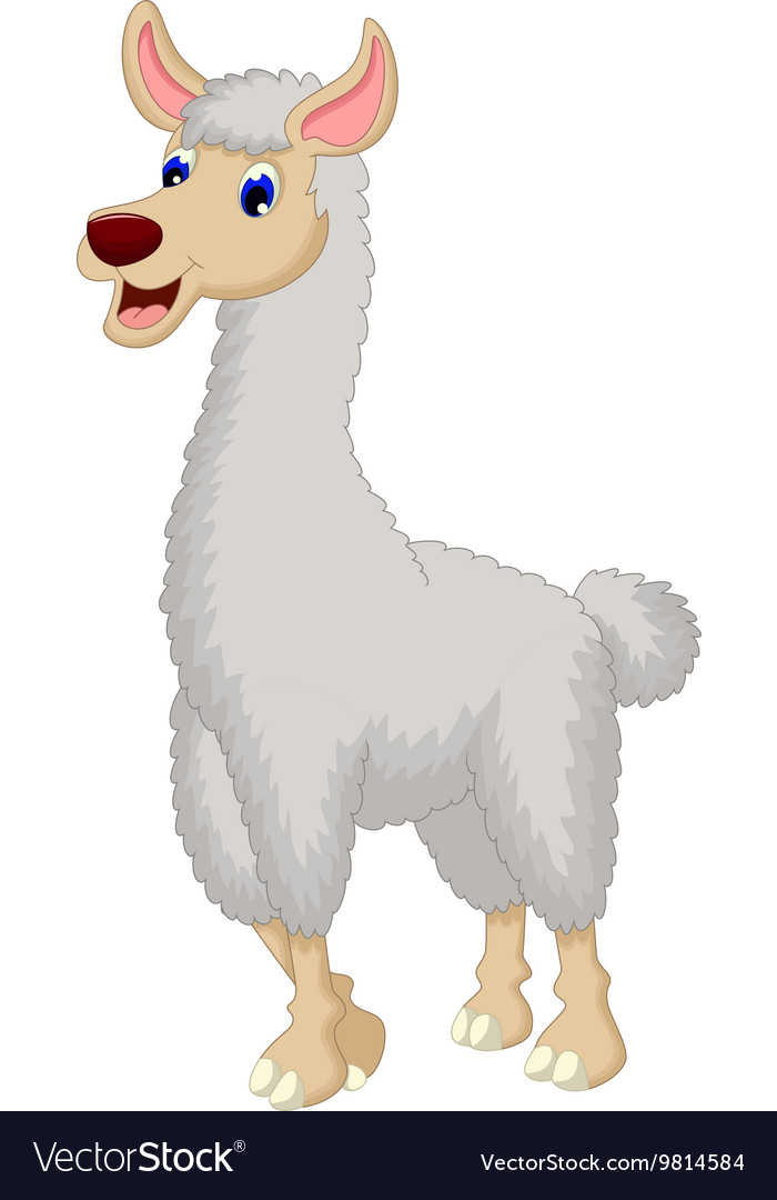 Cute lama cartoon Royalty Free Vector Image - VectorStock