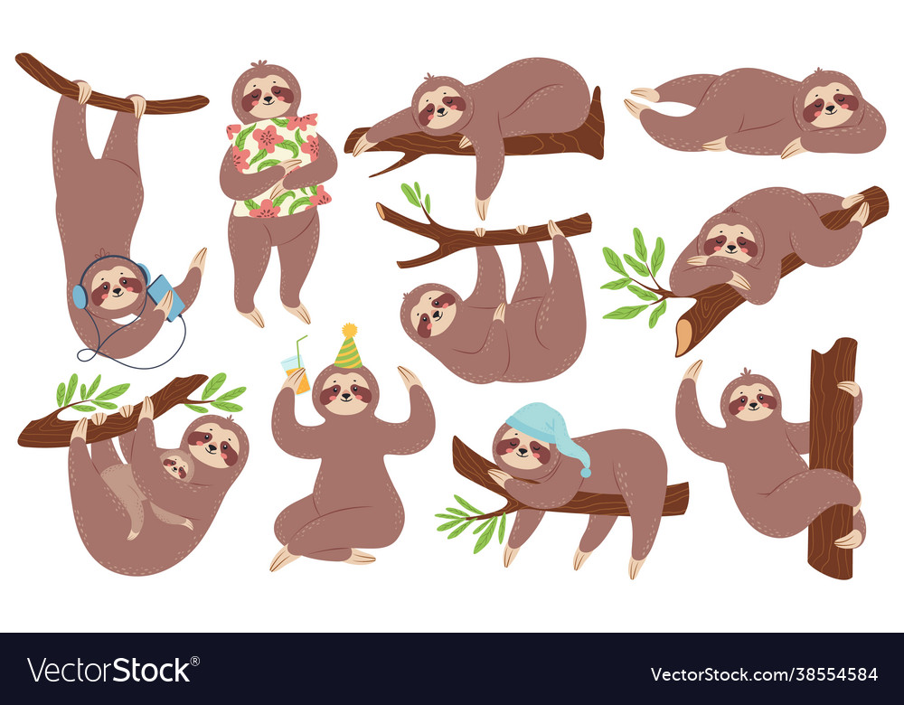 Cute sloth happy lazy sloths sleeping hanging Vector Image