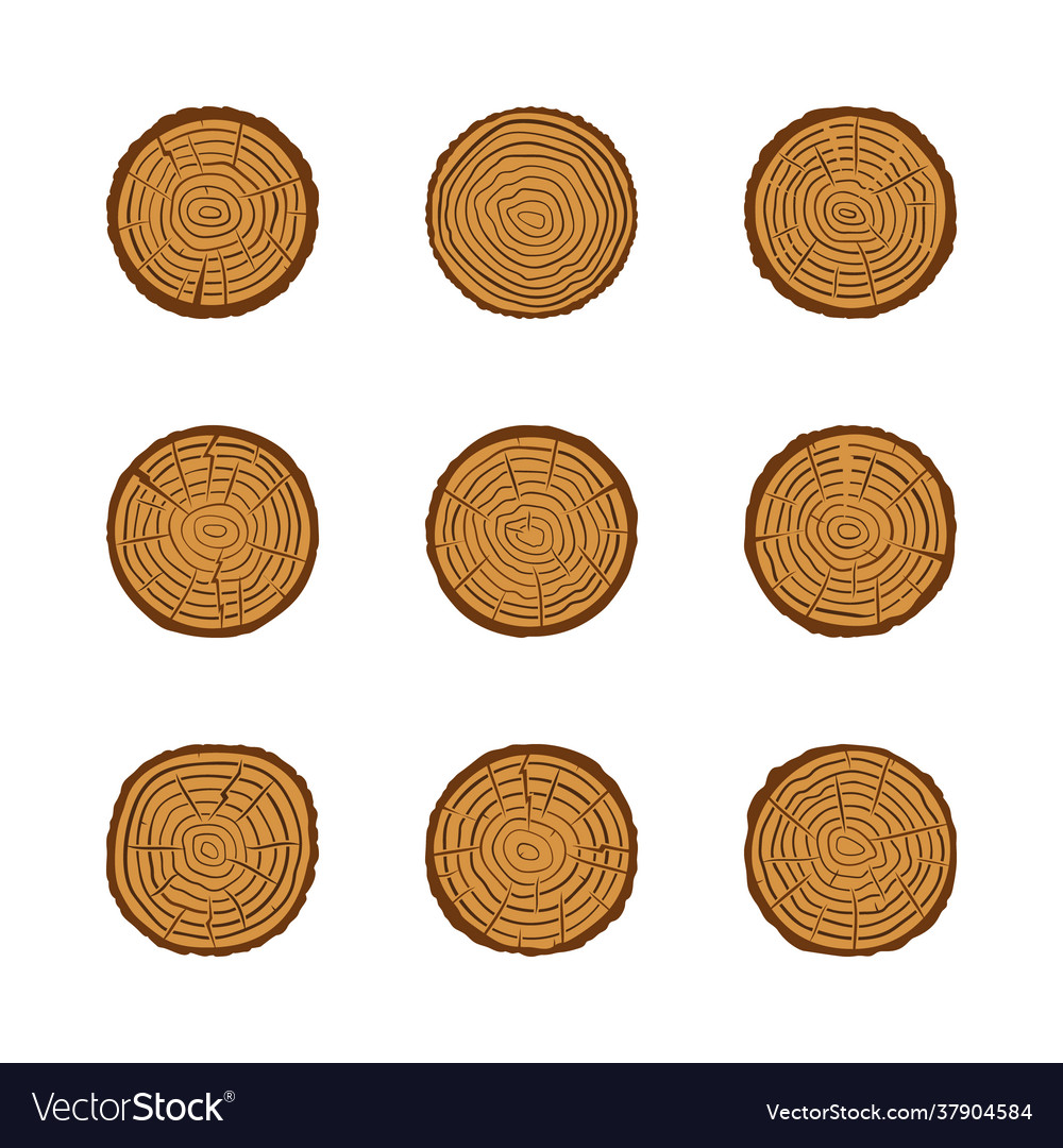 Trunk with tree growth rings colored icons