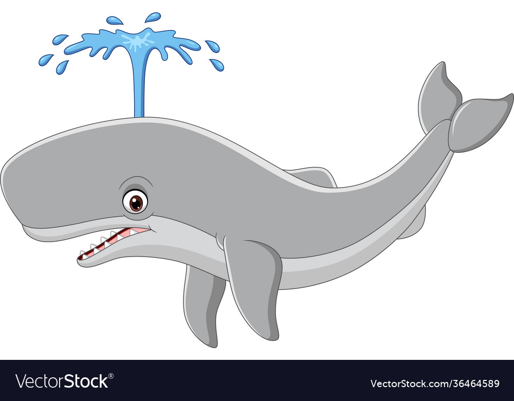 Cartoon whale with spray on white background