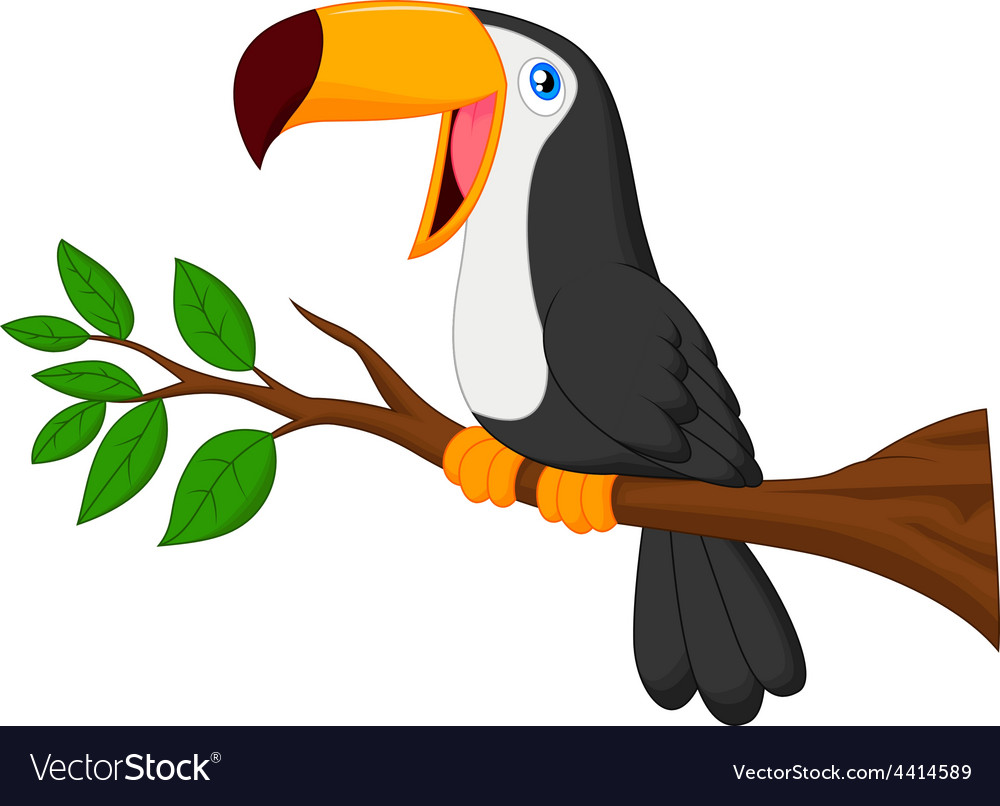 Cute toucan bird cartoon Royalty Free Vector Image