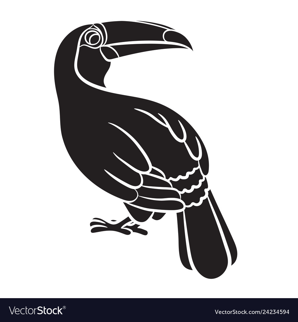 Toucan bird black silhouette on white background