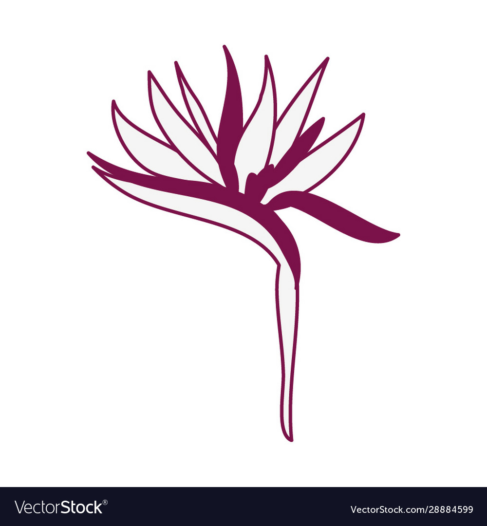 Tropical heliconia exotic plant icon