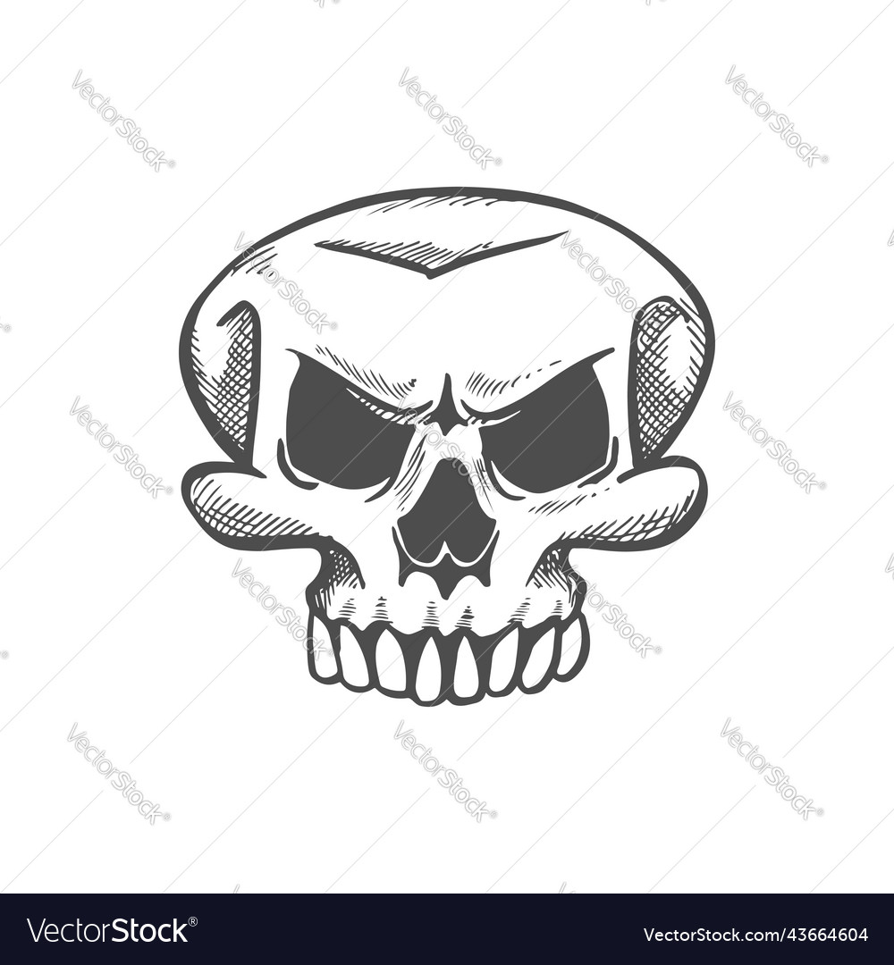 Profile of skeleton head with tooth isolated skull