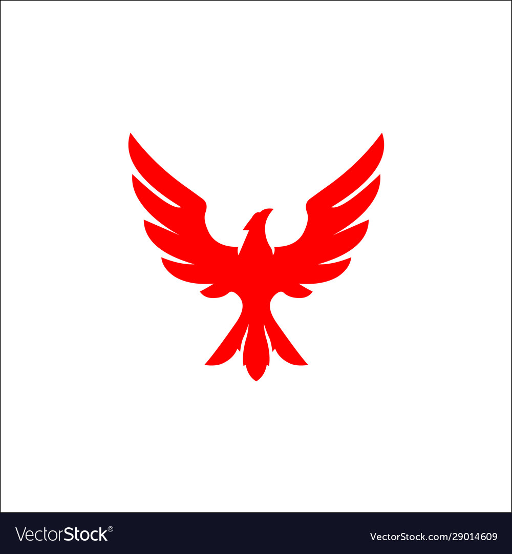 Falcon eagle bird logo template icon vector image Falcon eagle bird logo template icon
