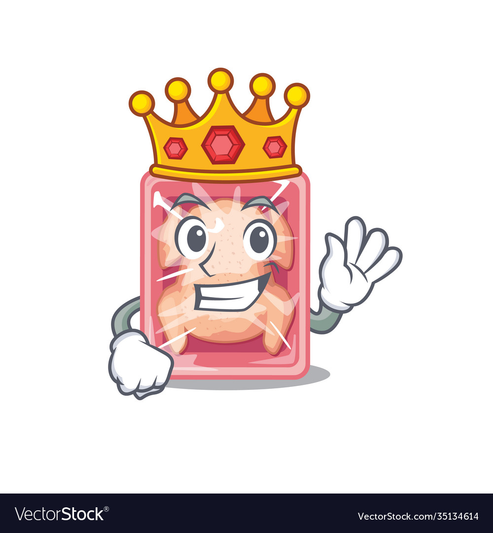 A wise king frozen chicken mascot design style