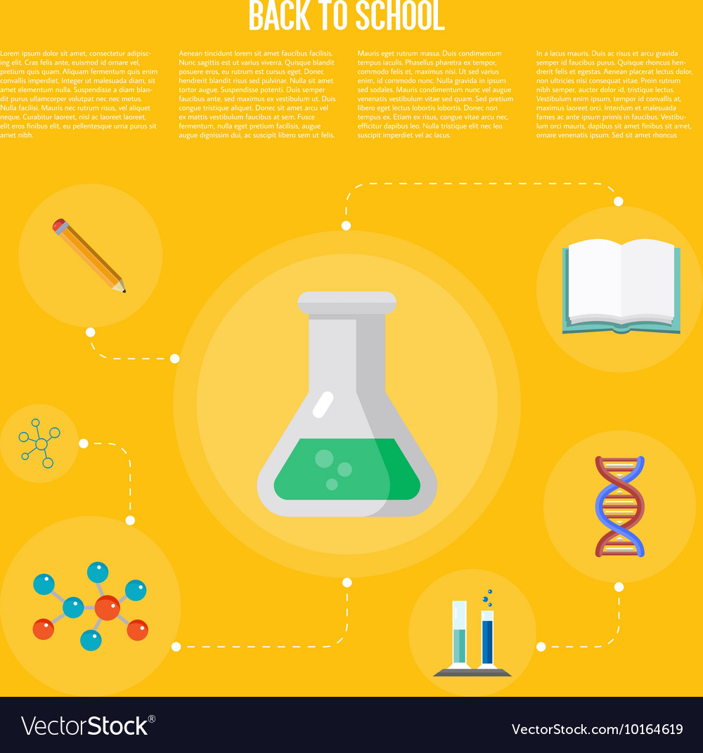 Back to school infographics concept