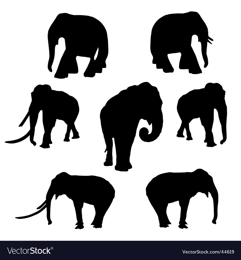 Elephant Royalty Free Vector Image - VectorStock