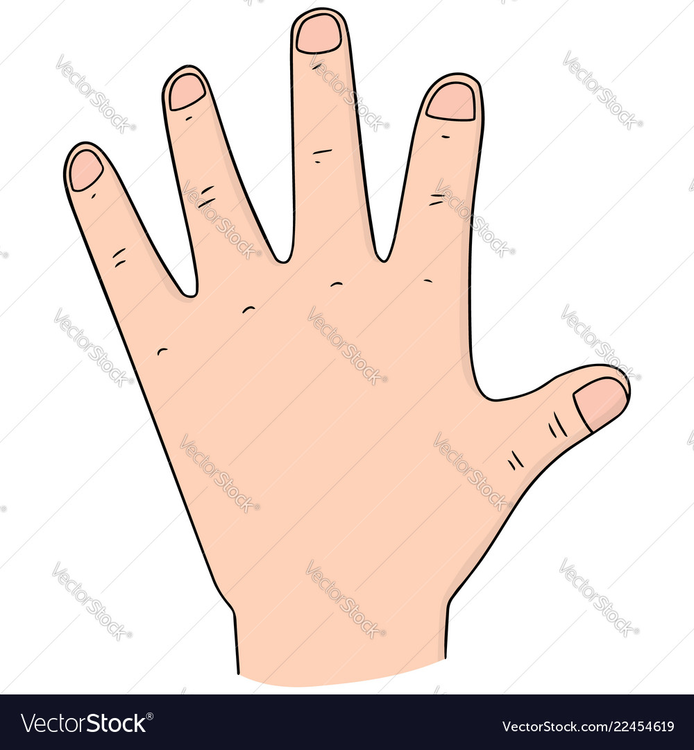 Set of cartoon hand Royalty Free Vector Image - VectorStock