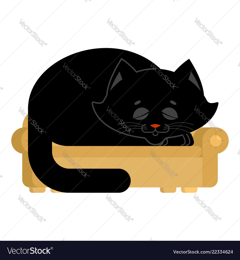 Big Cat On Couch Asleep Huge Pet On Sofa Vector Image