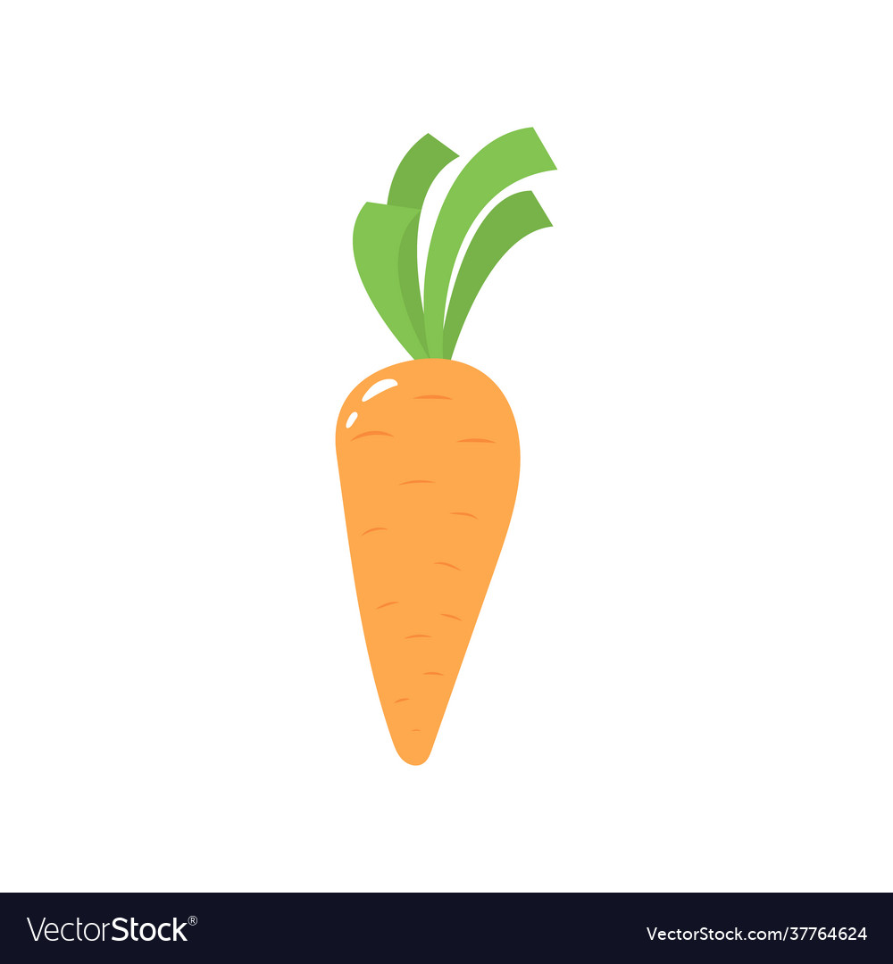 Carrot icon isolated on white background