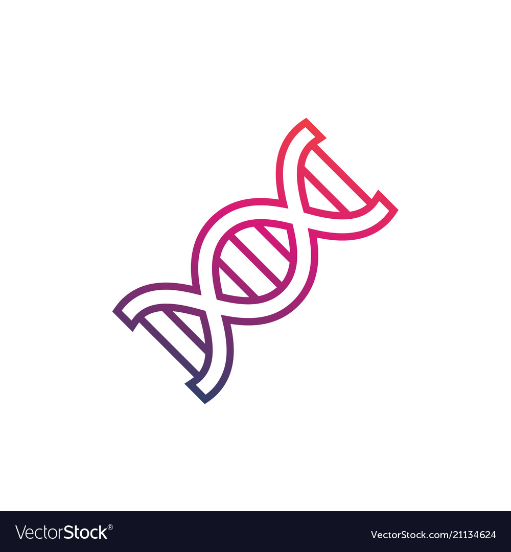 Dna strand icon on white Royalty Free Vector Image