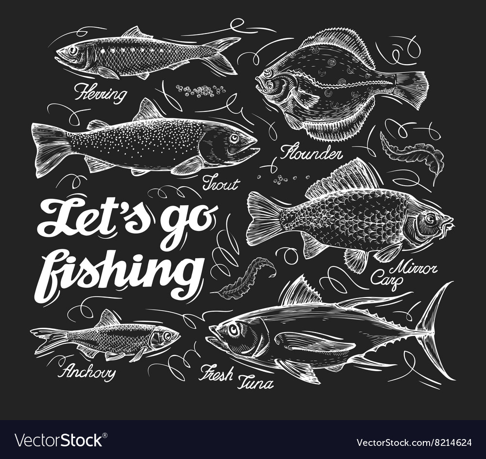 Fishing Hand Drawn Sketch Fish Herring Trout Vector Image