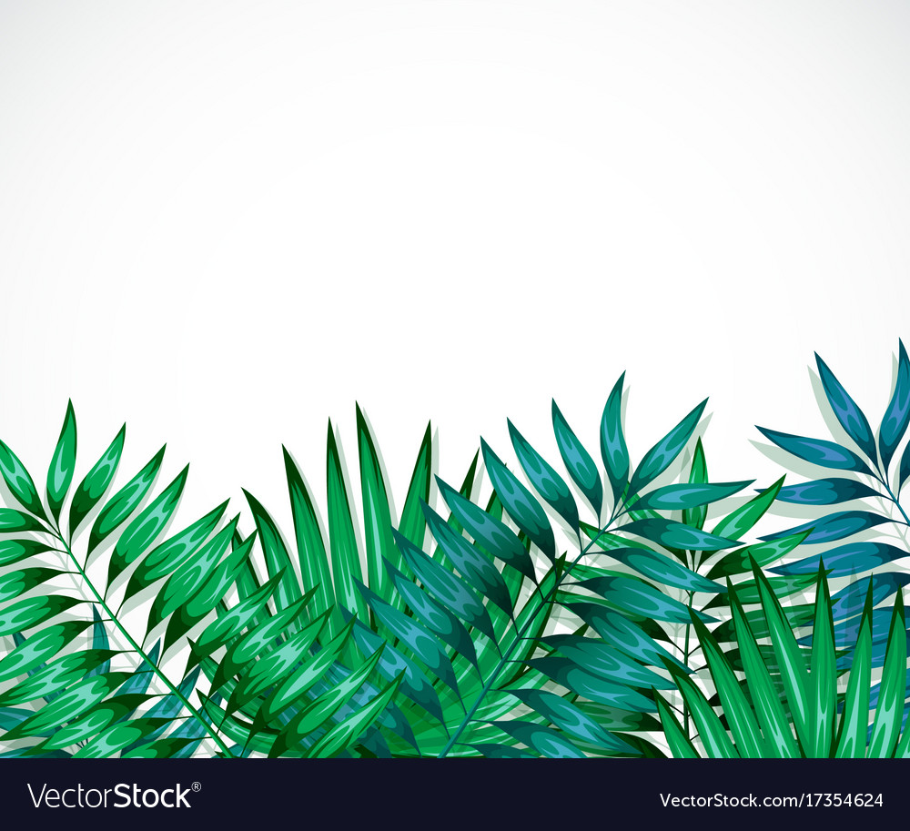 Frame of colorful tropical leaves concept