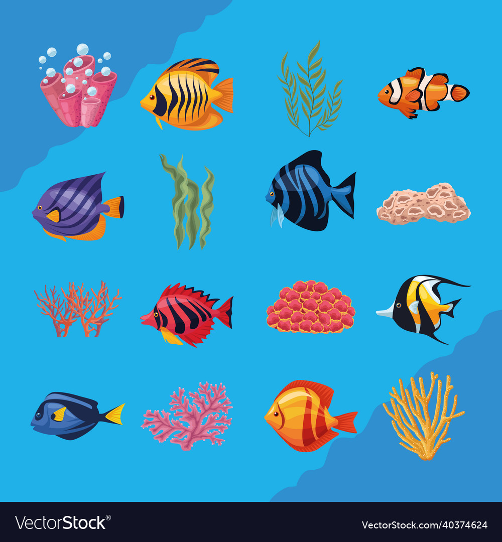 Sixteen sealife underwater icons