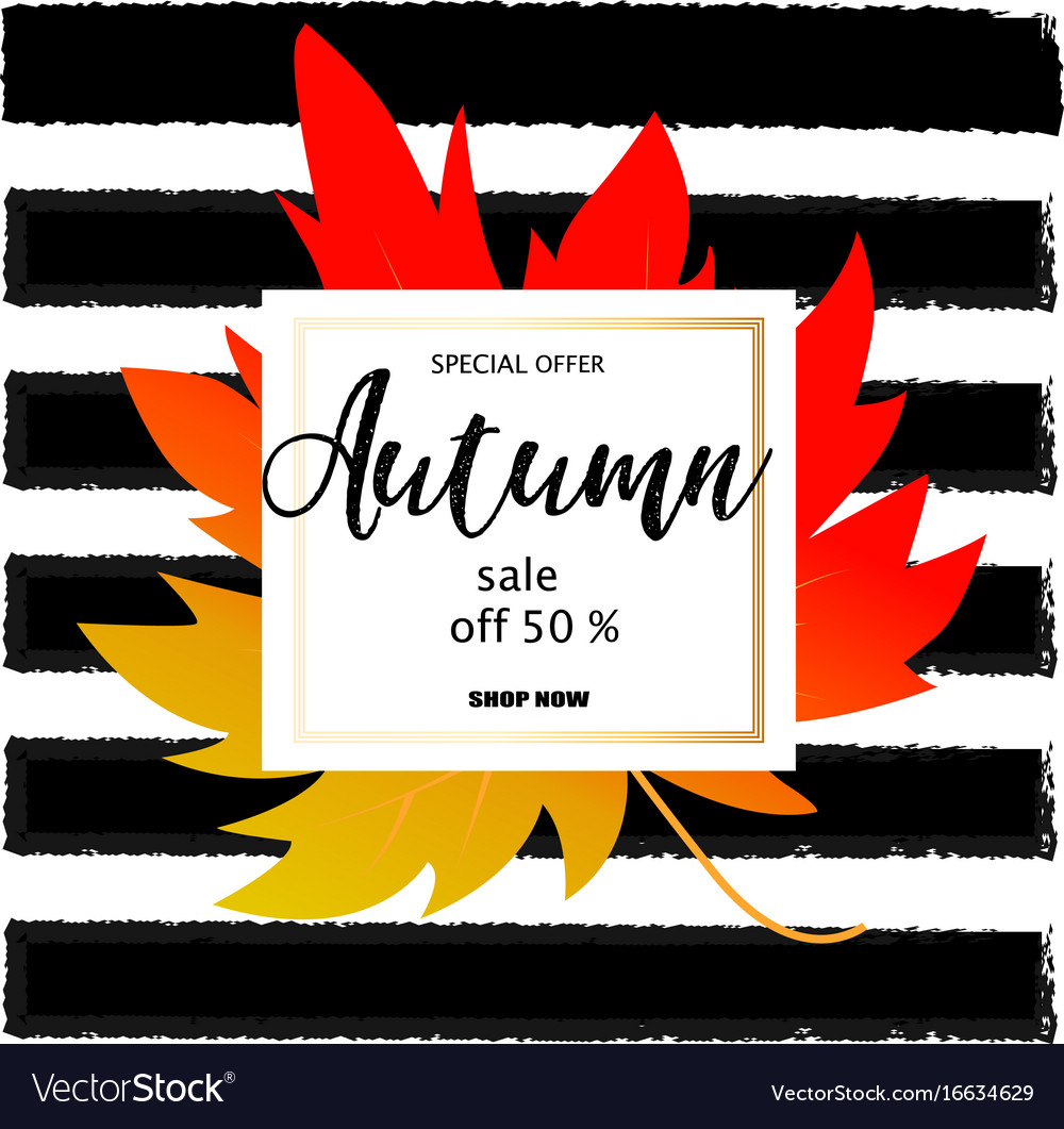autumn sale banner with colorful fall leaves vector image