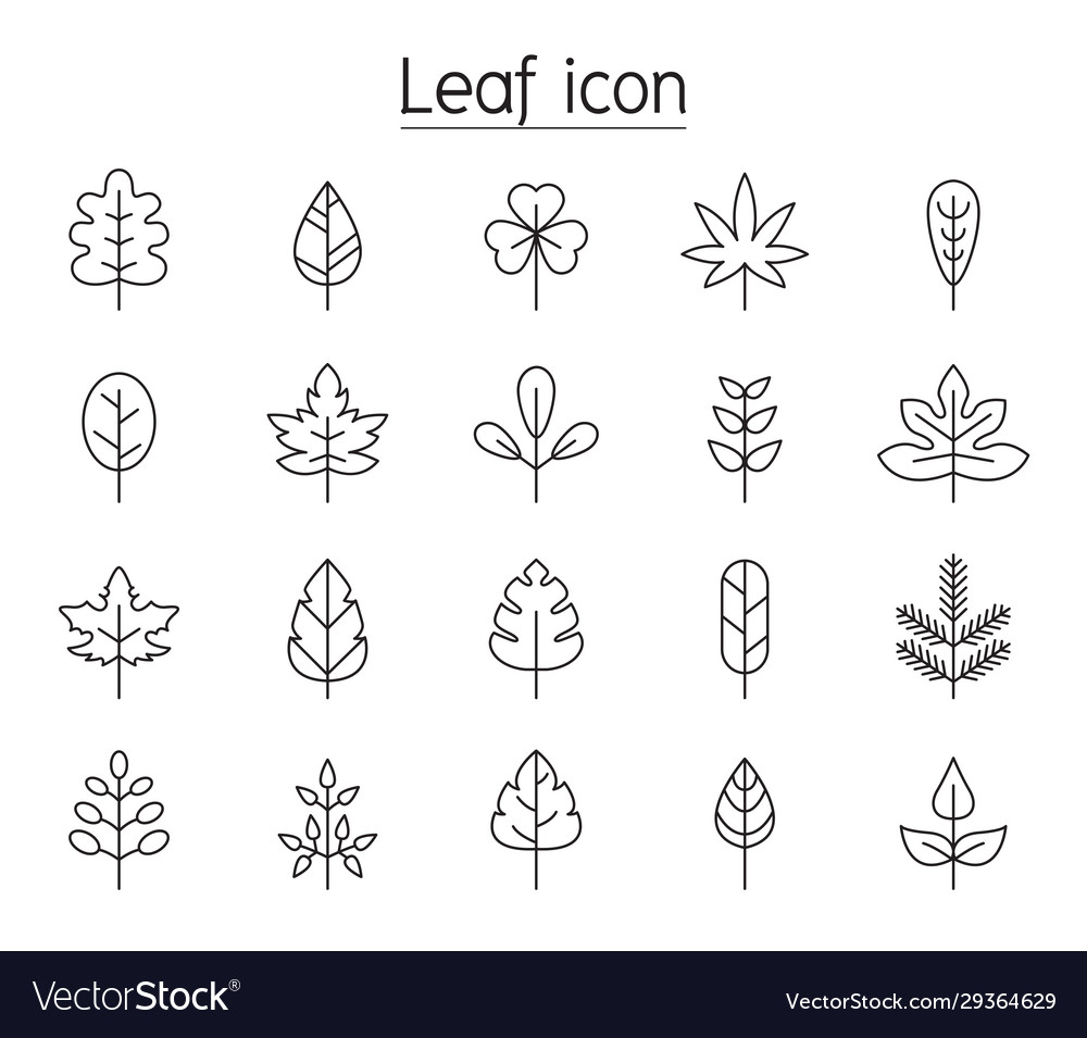 Leaf icon set in thin line style