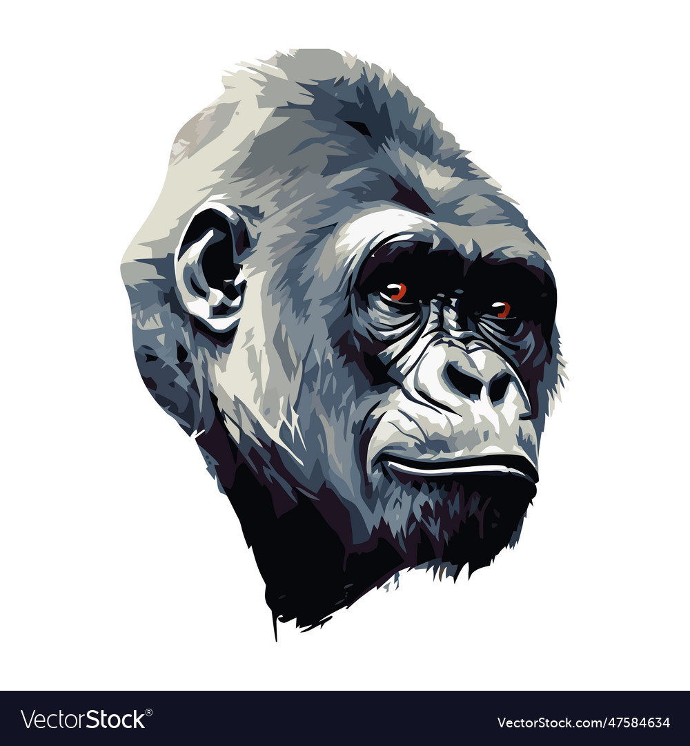 Gorilla face Royalty Free Vector Image - VectorStock