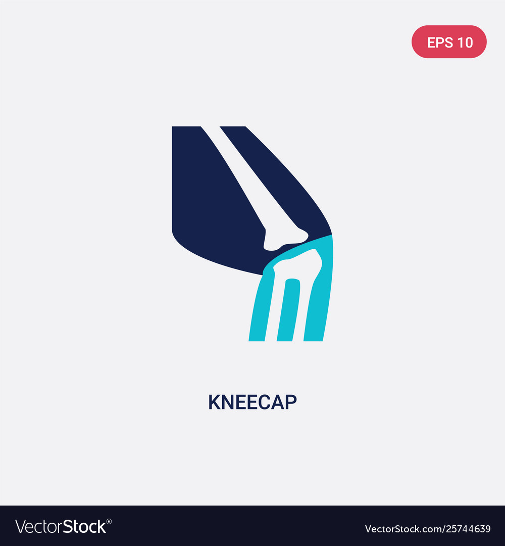 Two color kneecap icon from human body parts Vector Image