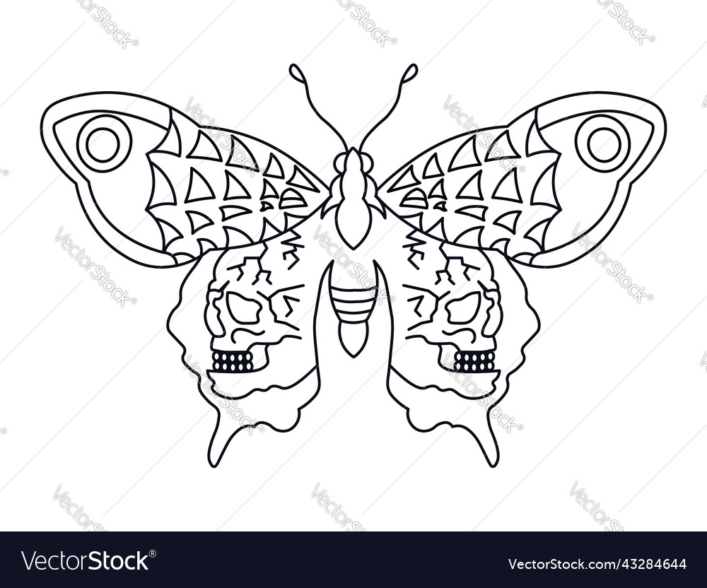 Butterfly skull tattoo vector image Butterfly skull tattoo