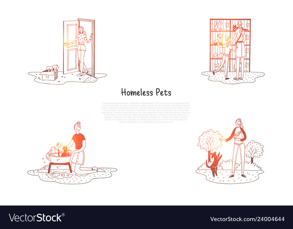 Homeless pets - animals in cages vector image Homeless pets - animals in cages