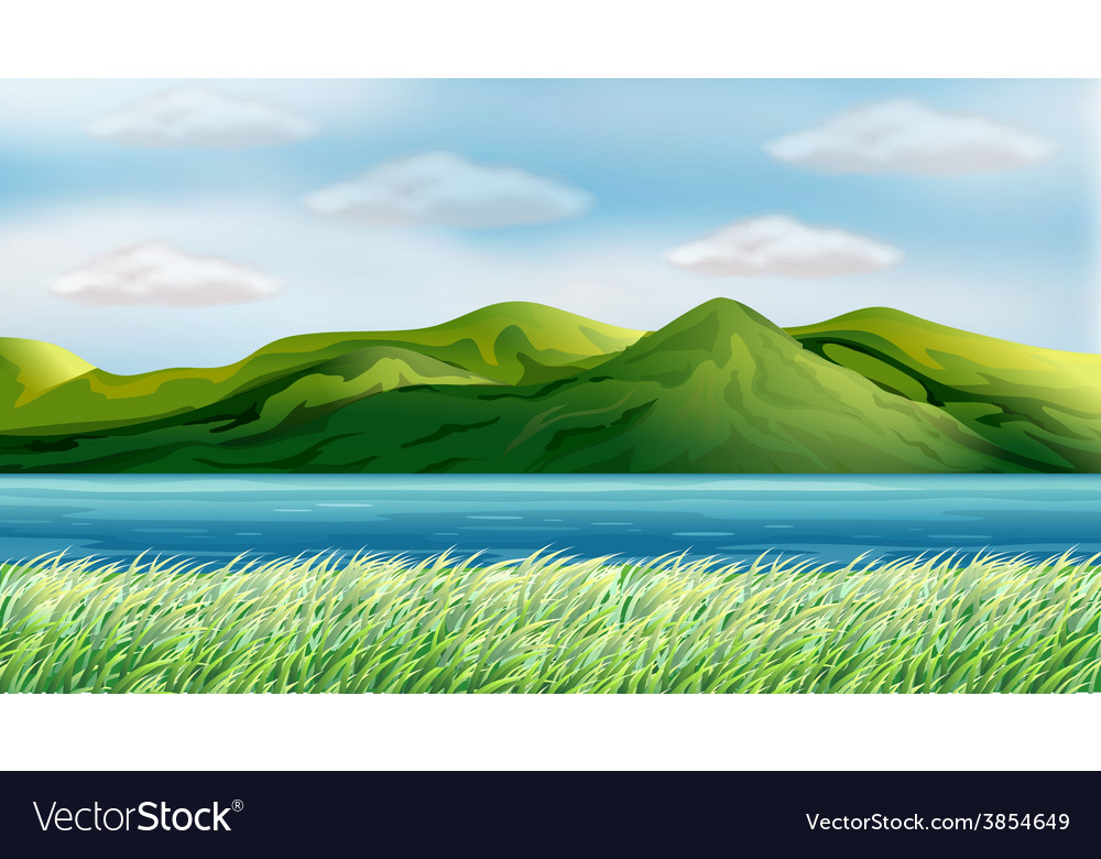Field Royalty Free Vector Image - VectorStock