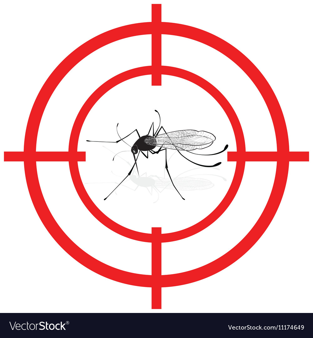 Signaling mosquitoes with mosquito target gnat Vector Image