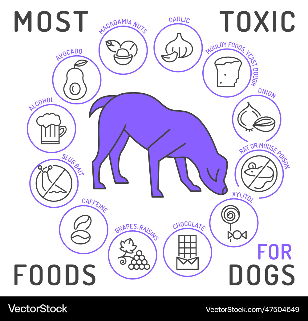 Dogs Poisonous