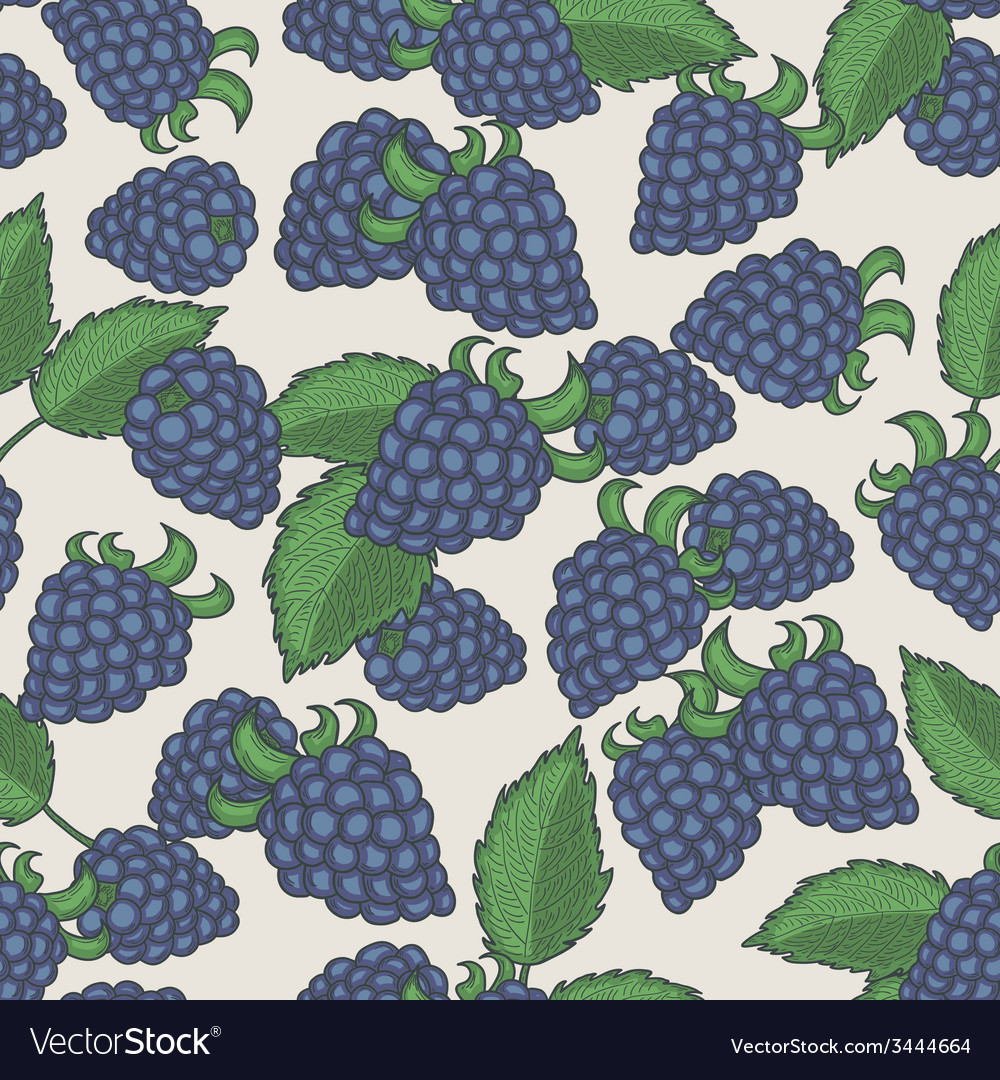 Doodle blackberries seamless pattern