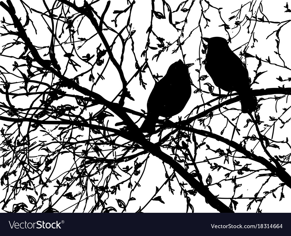 Silhouettes of birds at branch tree